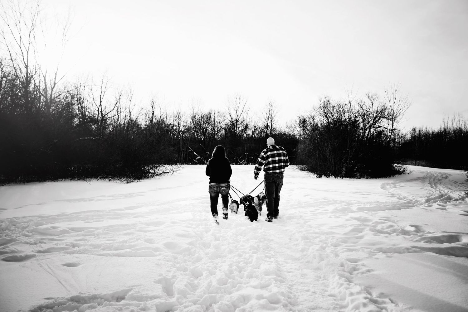 BUFFALO NY PHOTOGRAPHER, WNY PHOTOGRAPHER, WNY FAMILY PHOTOGRAPHER, BUFFALO FAMILY PHOTOGRAPHER, ROCHESTER PHOTOGRAPHER