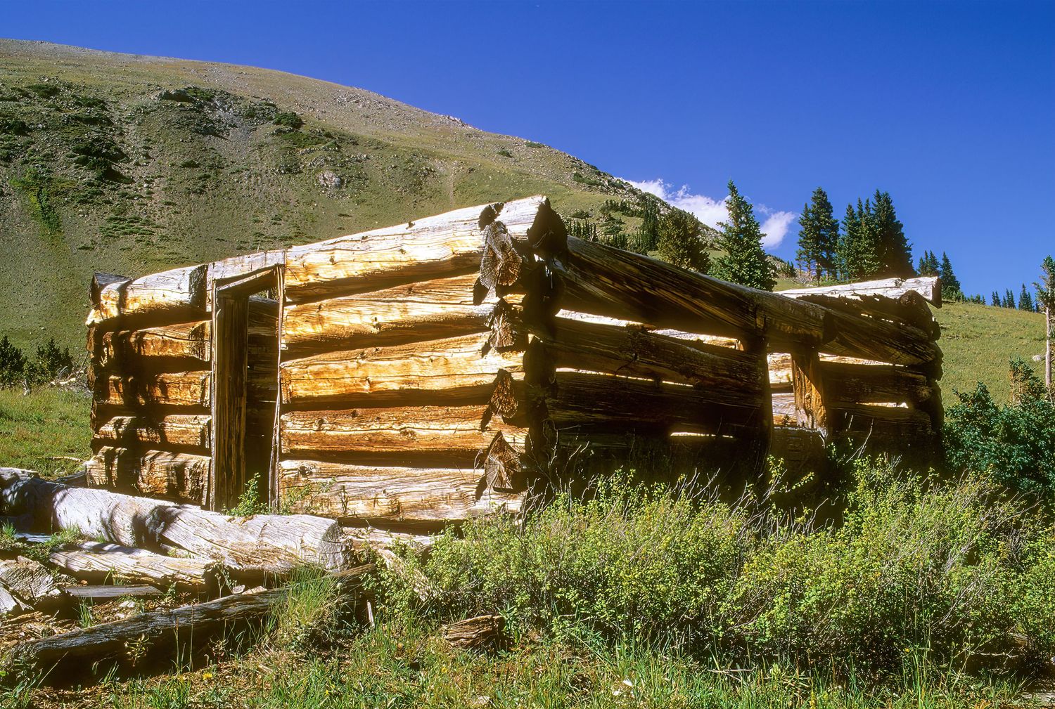 Cree's Camp, Colorado