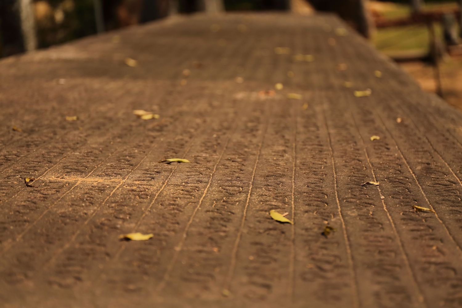 Close-up of ancient Sanskrit inscriptions carved on dark wooden surface.