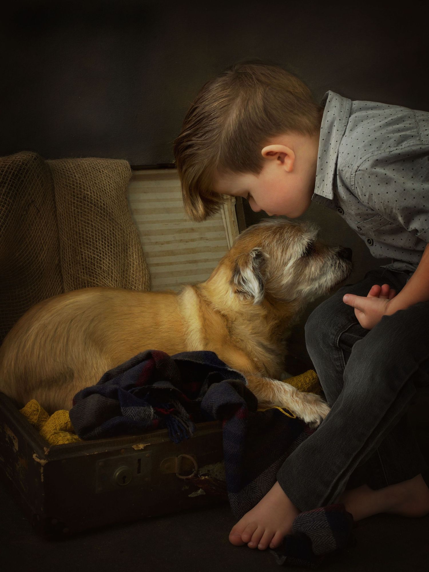 portrait of a young boy kissing the head of a old dog laying in a suitcase