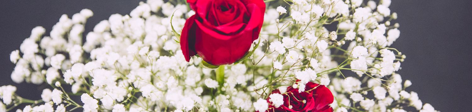 A red rose surrounded by delicate white baby's breath flowers against a dark background.