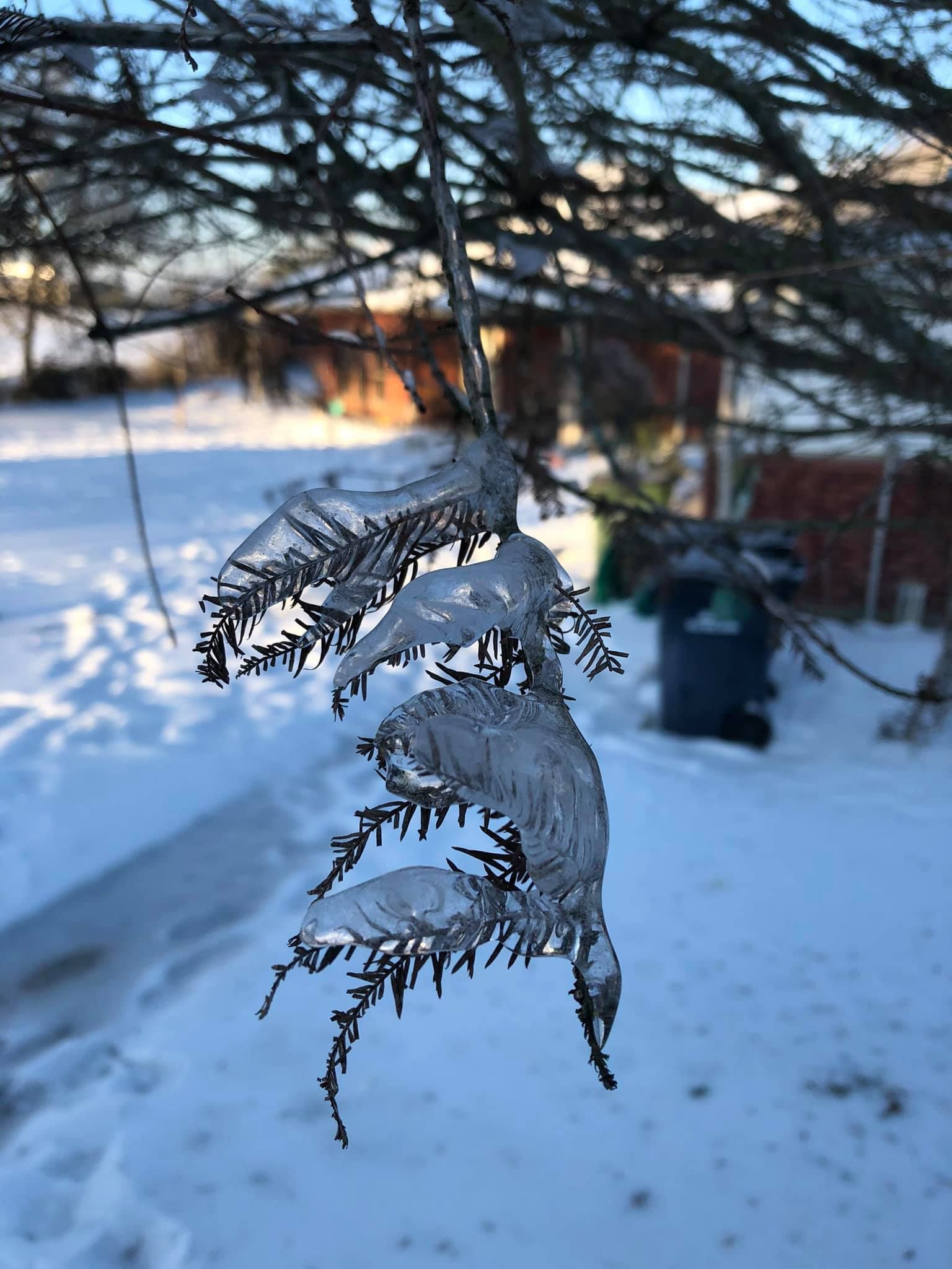 Frozen Hand of Gaia