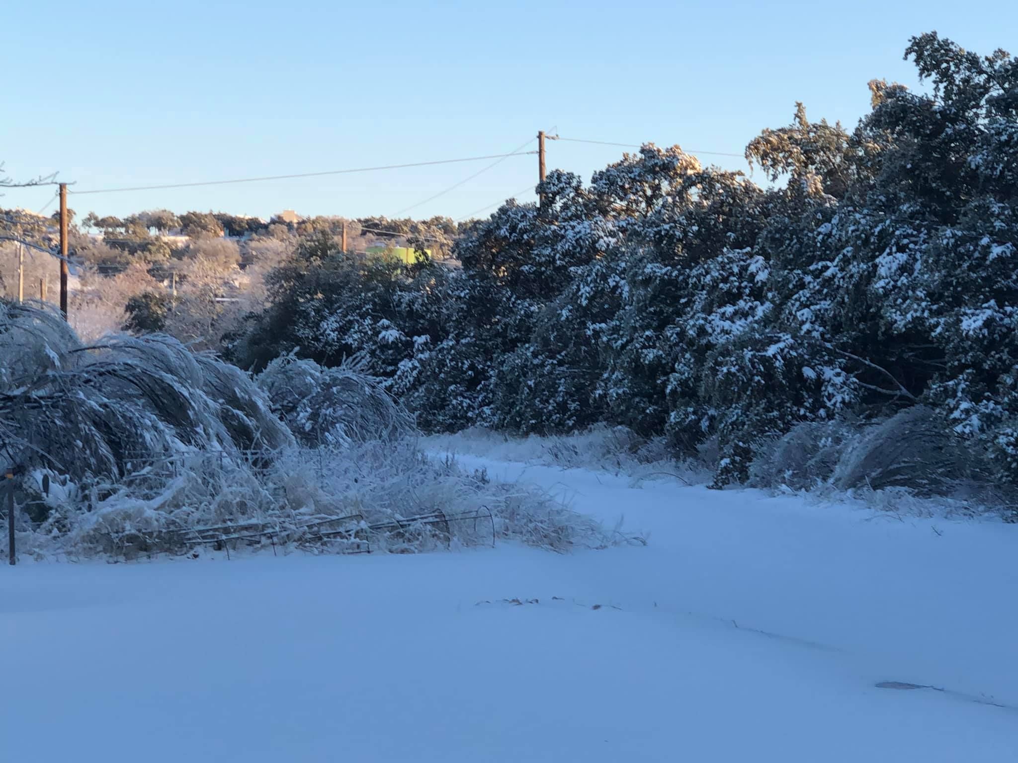 When Polar Winds Howled