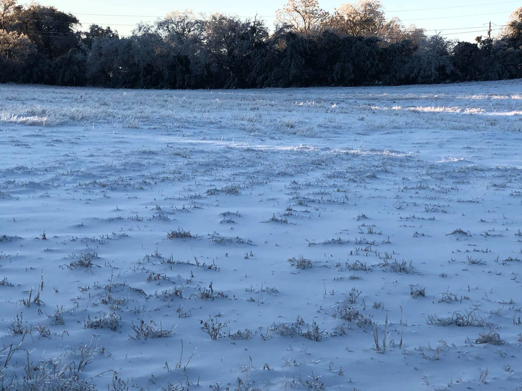 When a Southern Field Frozed