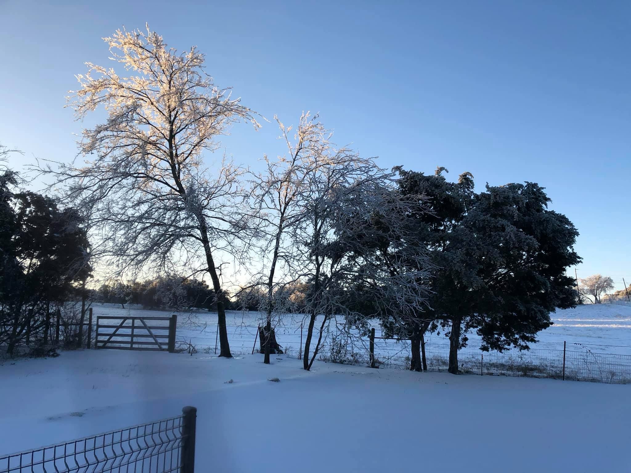 When the South Frozed