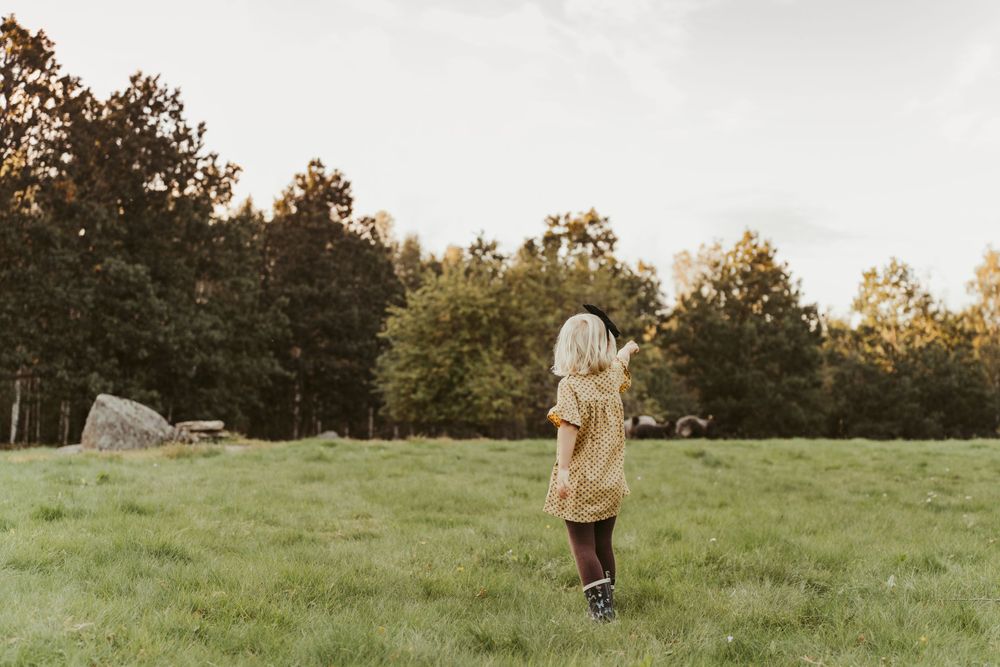 A person stands alone in a peaceful meadow during golden hour surrounded by trees.
