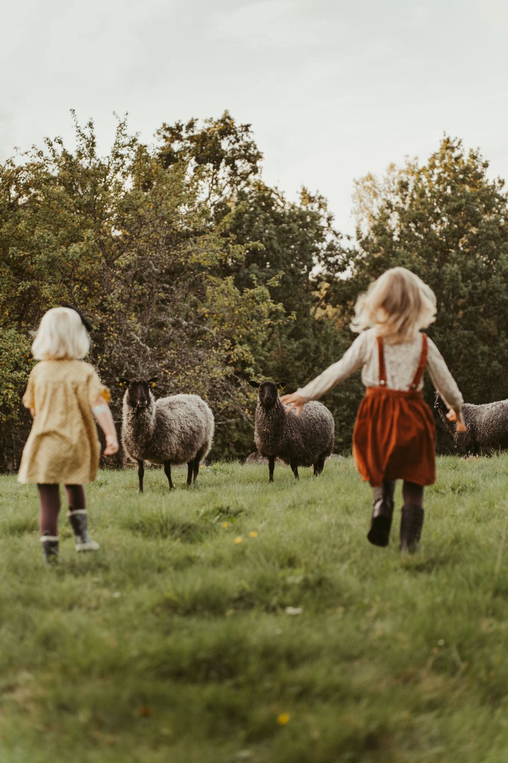 Two children explore a meadow with sheep grazing among autumn trees.