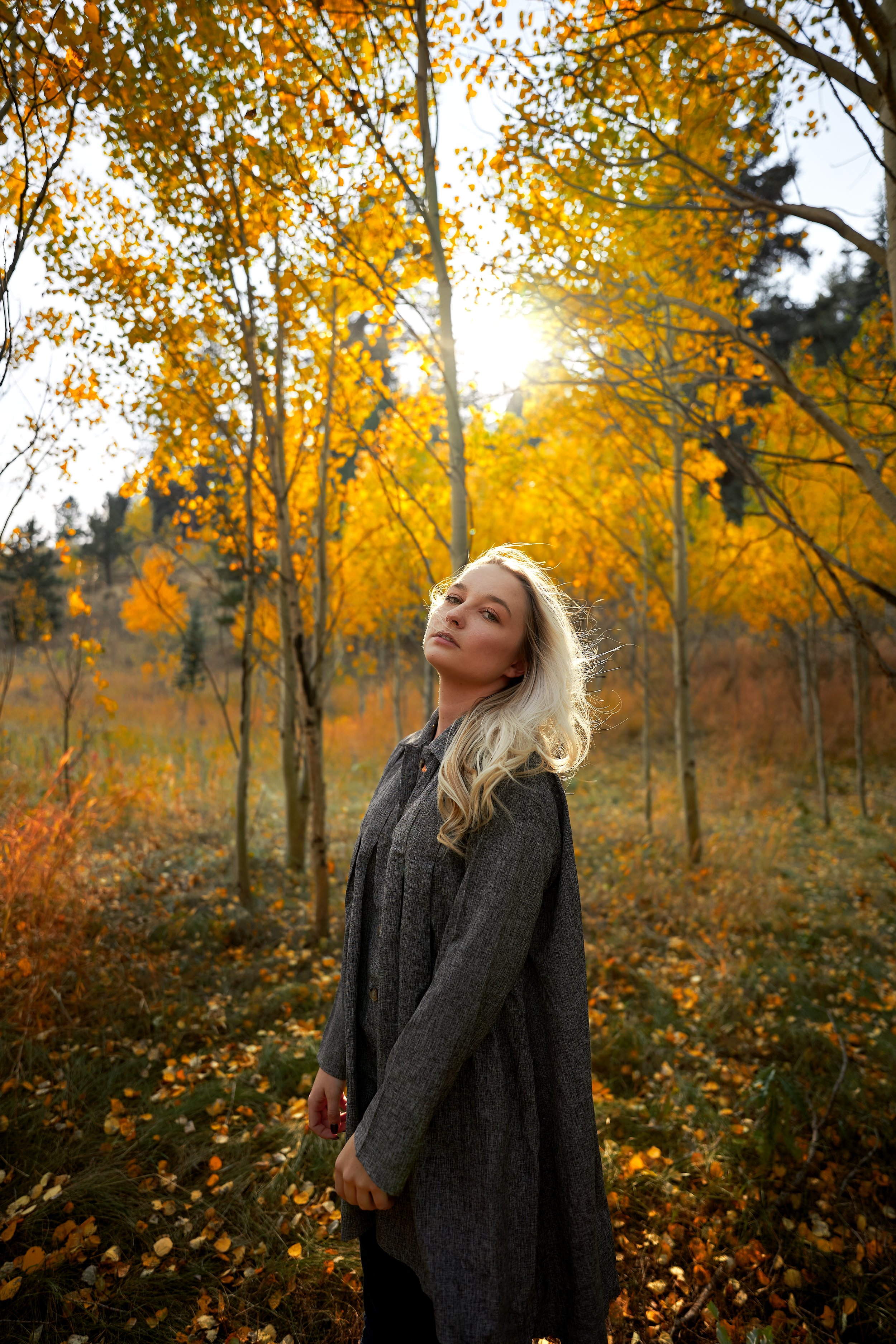 Golden autumn trees frame a dreamy outdoor portrait session at sunset.