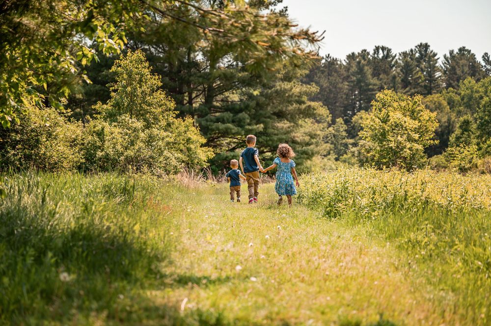 People walking through a sunlit meadow with tall grass and trees in the background during a summer day.