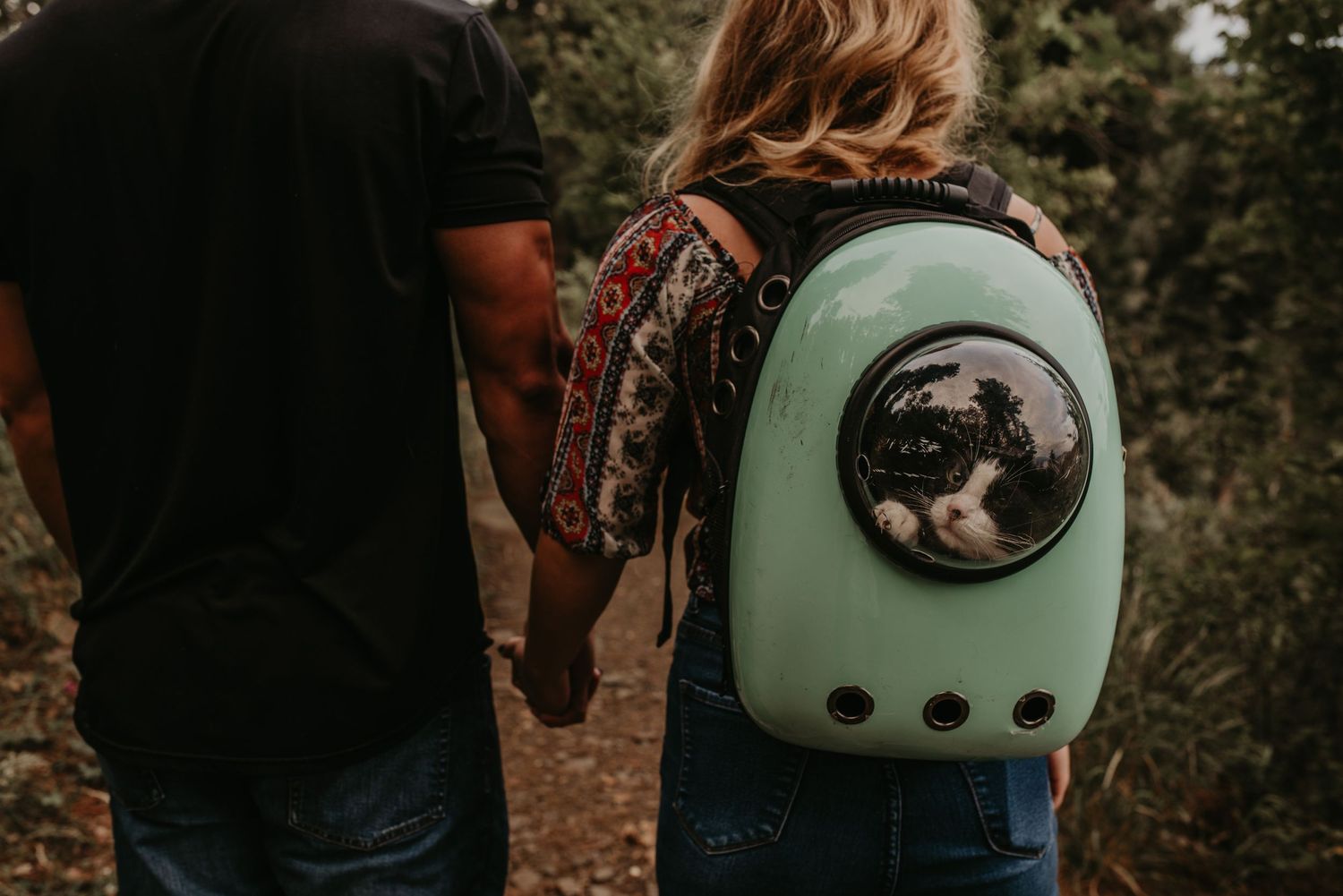 A cat lounges in a mint green pet carrier backpack while exploring outdoors.