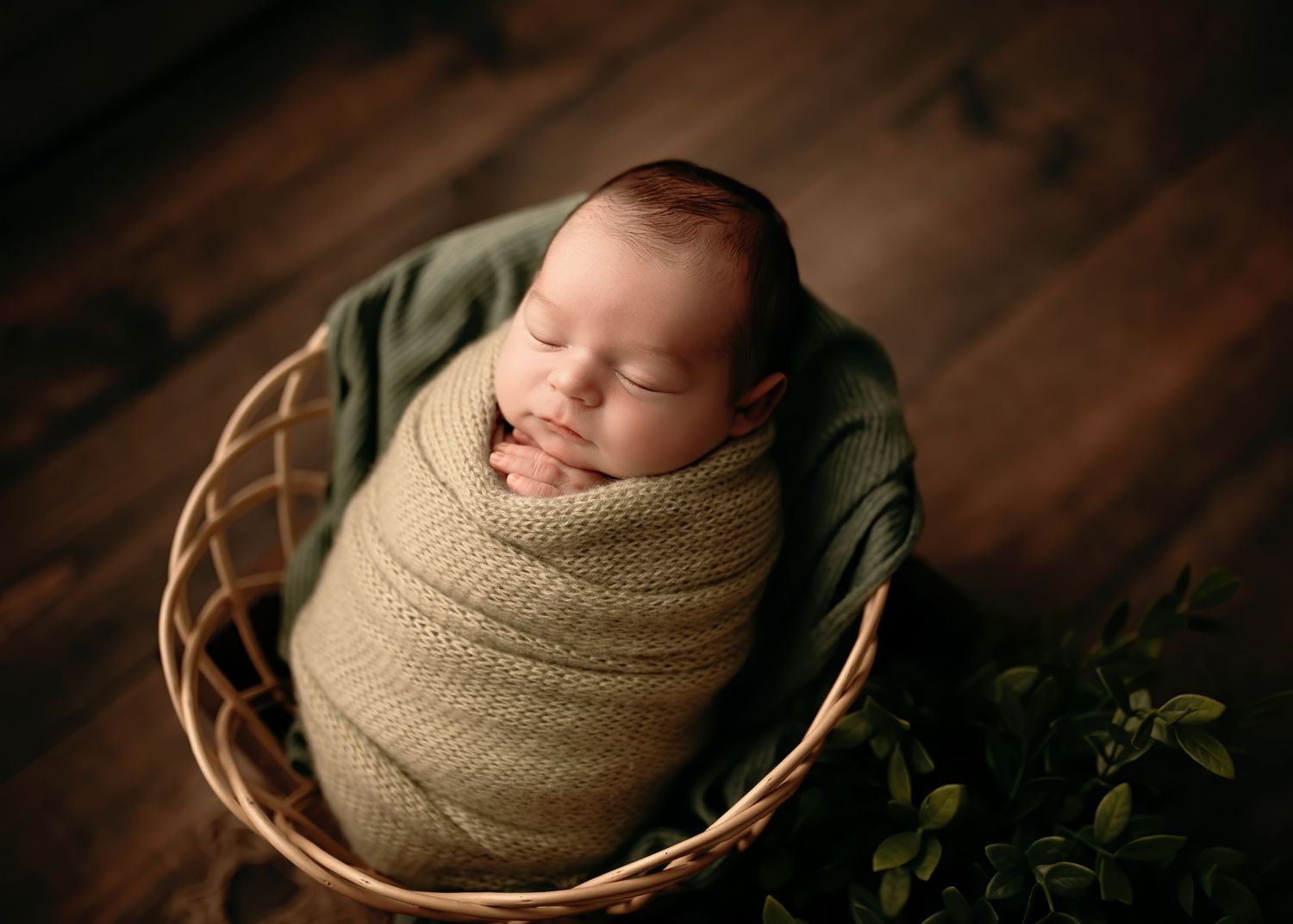 Waverly, New York Newborn Photographer Everlasting Impressions Photography