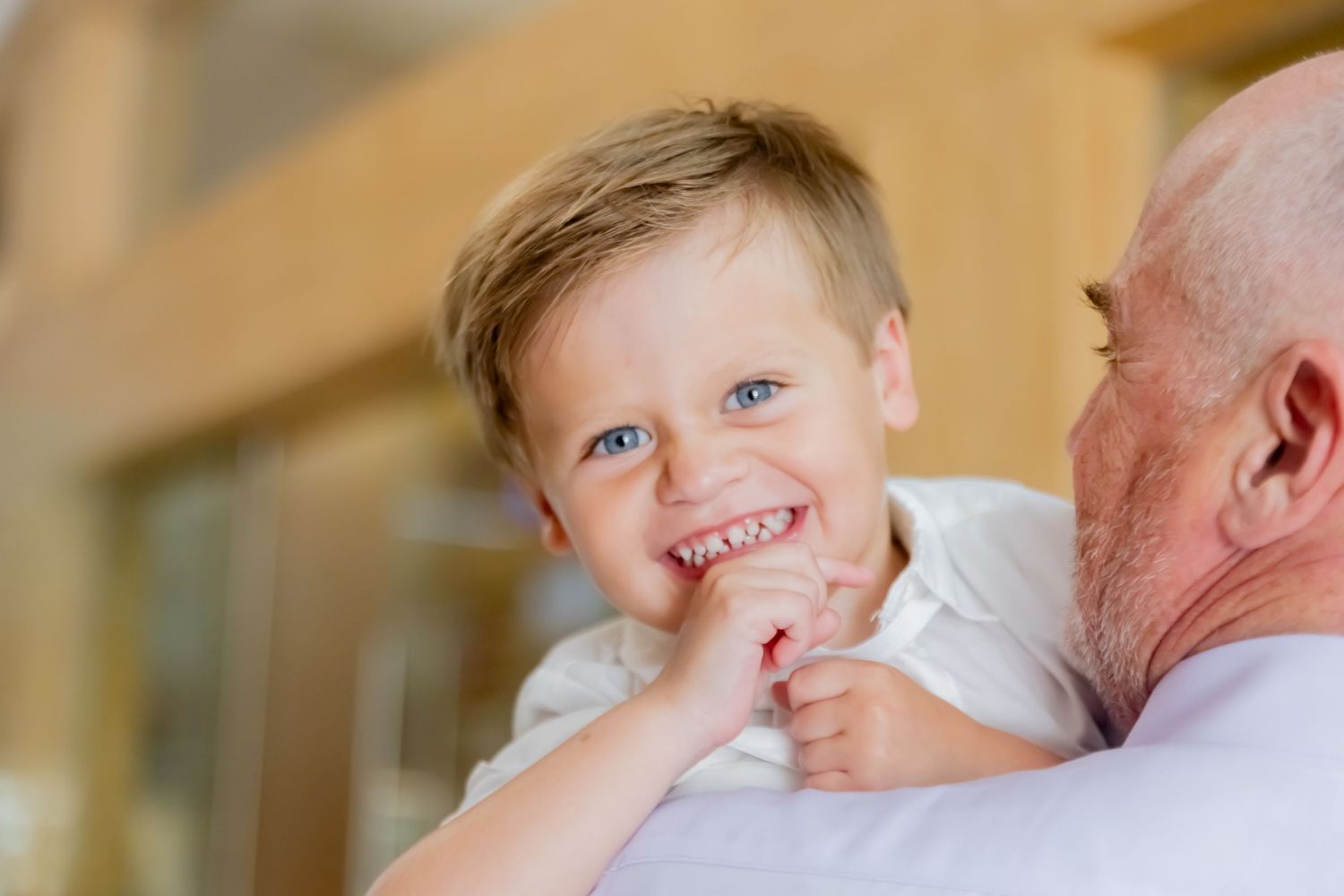 Happy toddler with blue eyes smiling while being held by a bald grandfather indoors.