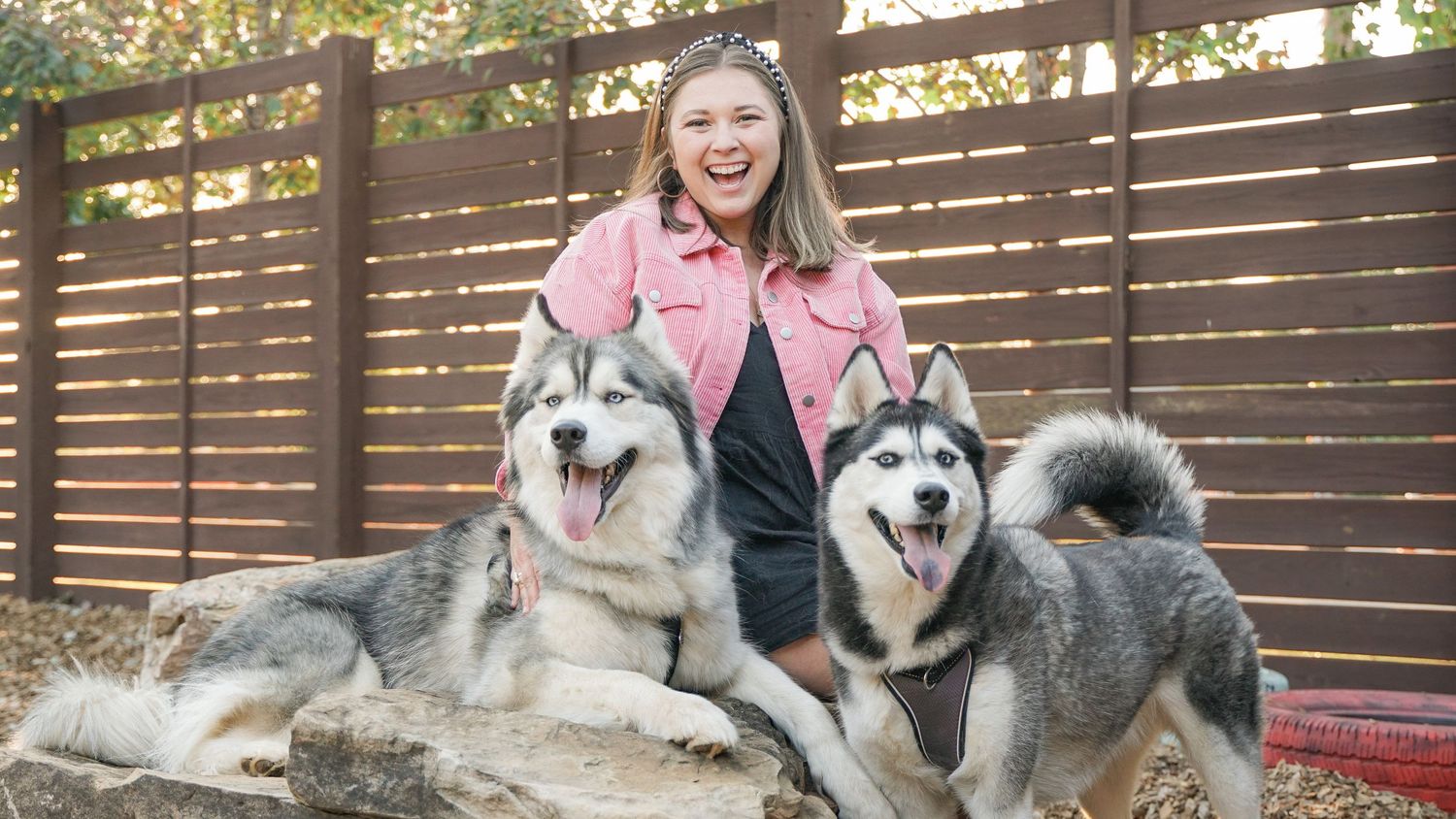 Pet Photography Session done by Taylor Renee Photography in Greenville SC