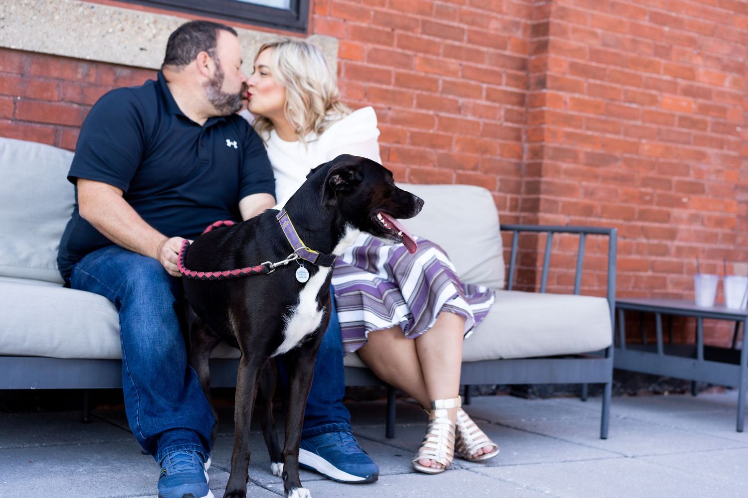 A couple share a kiss while their dog looks on, on the rooftop of a Mid-City bar in Baton Rouge.