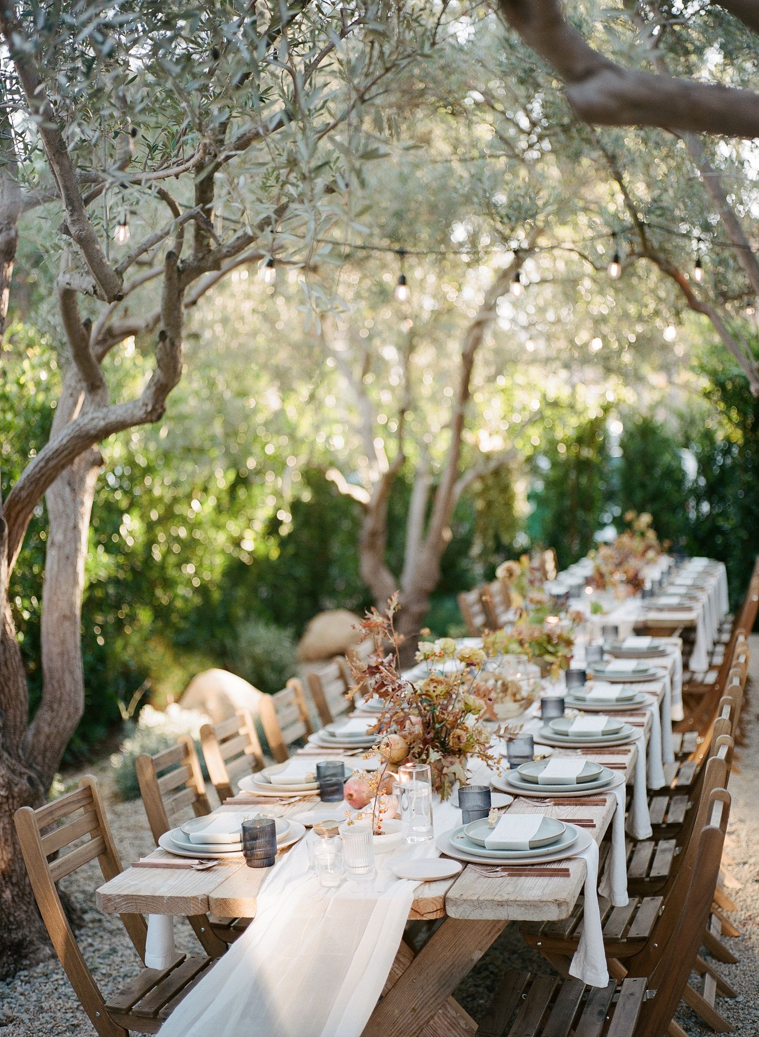 A rustic outdoor wedding reception table set under olive trees with warm autumn floral centerpieces.
