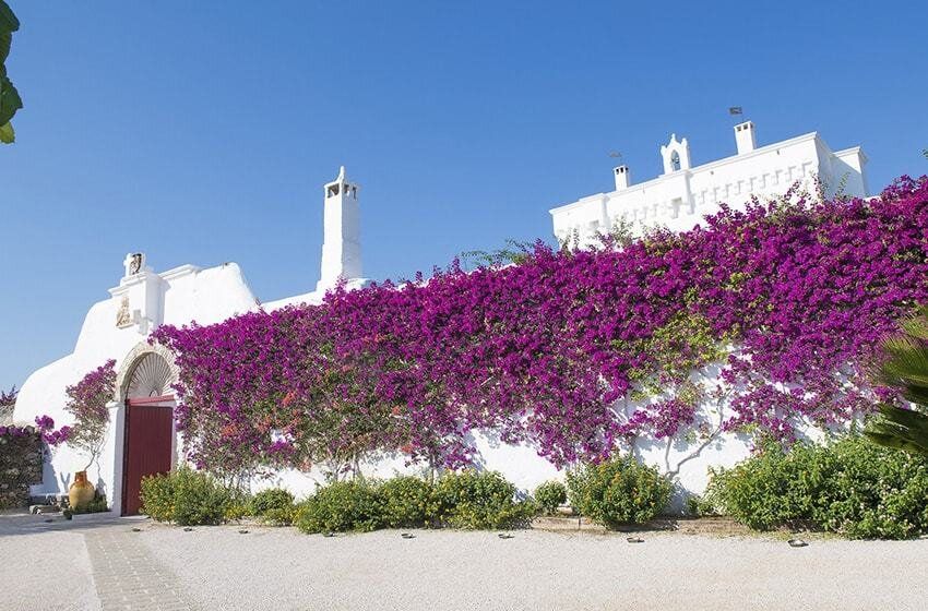 Best Italian Wedding Venues for 2023 with IG links