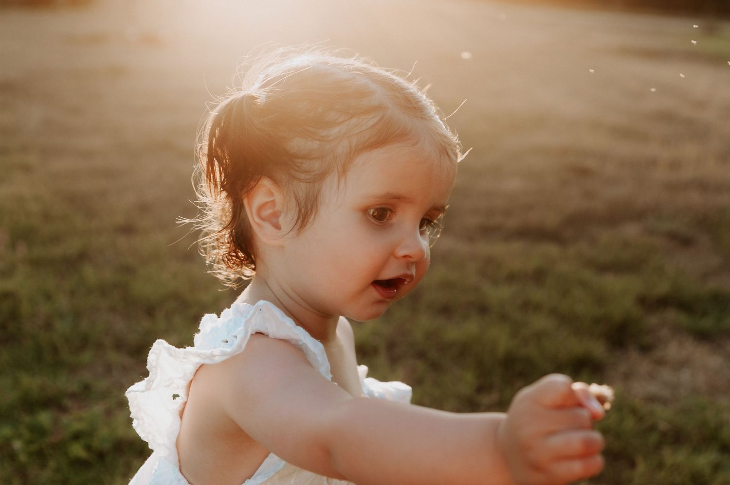 A toddler in a white ruffle dress playing outdoors during golden hour.
Altona Family Photographer Melbourne