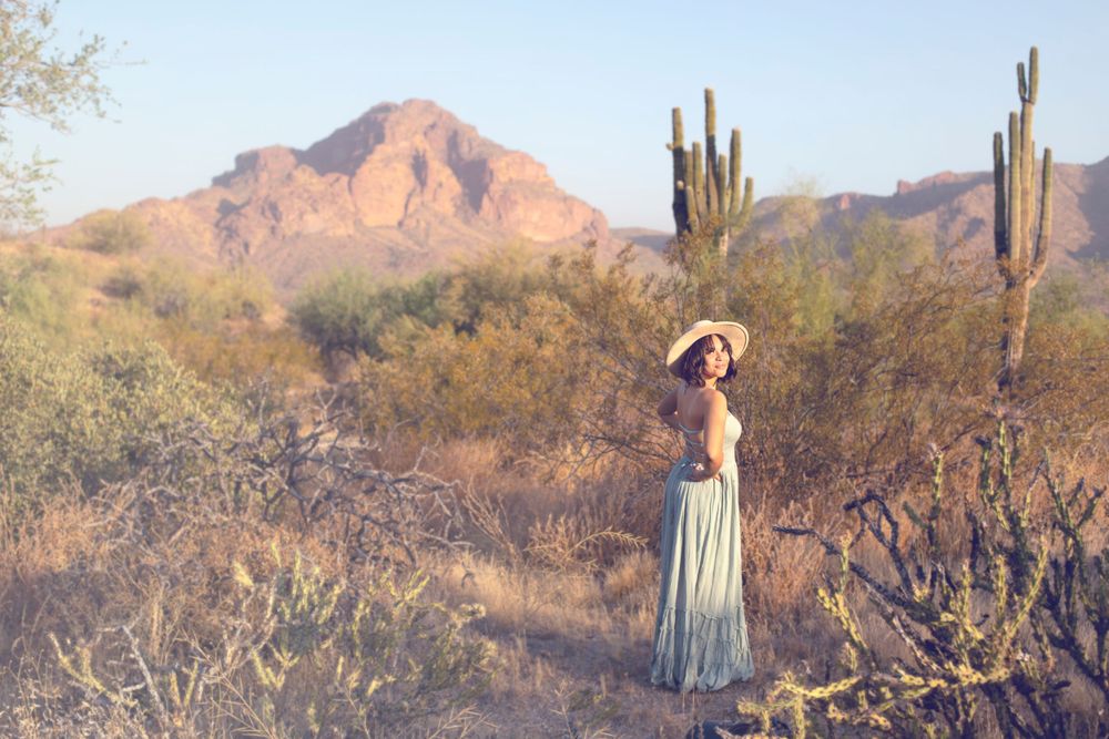 Desert mountain vista with saguaro cacti and desert brush in golden afternoon light.