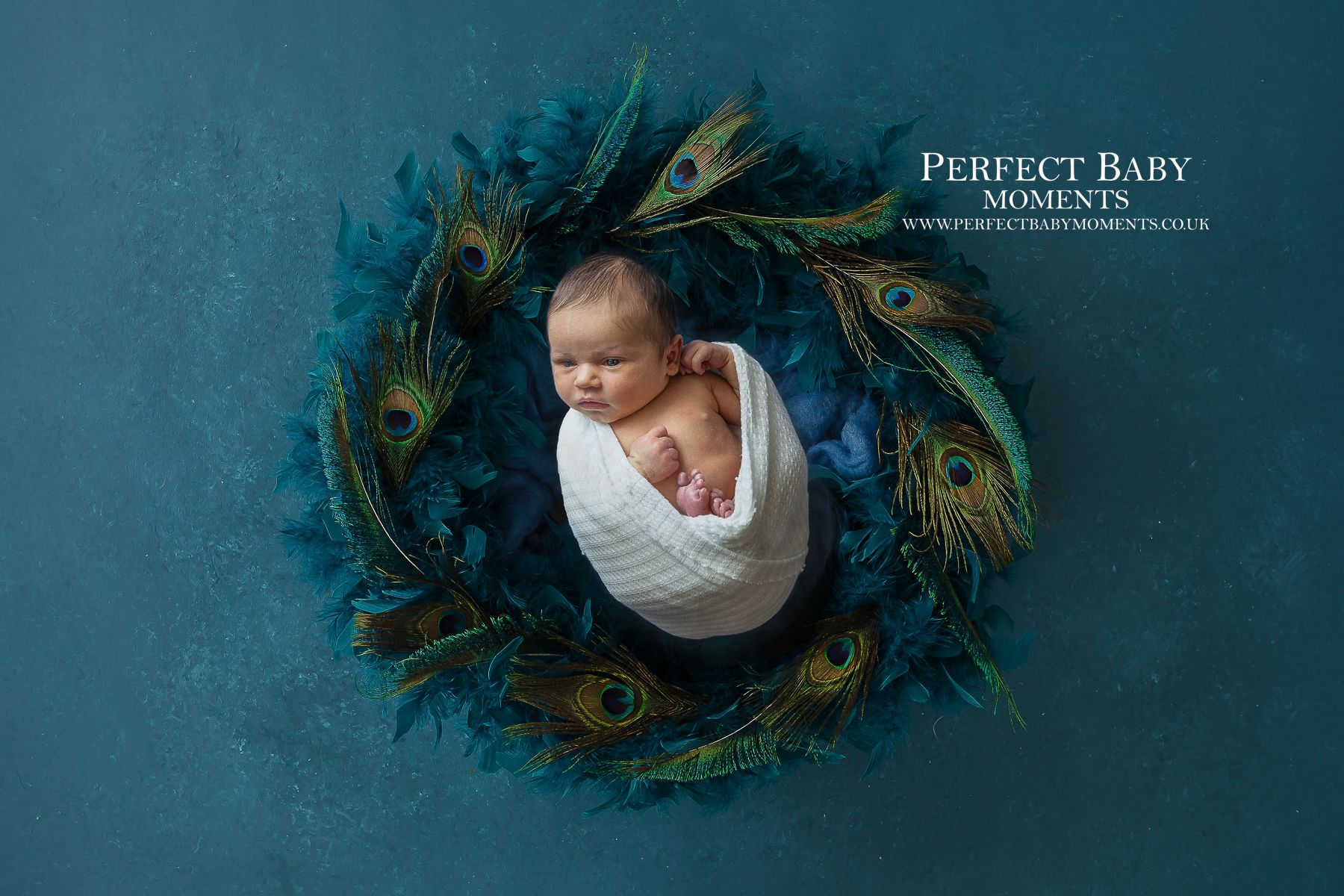 newborn baby in a bed of peacock feathers