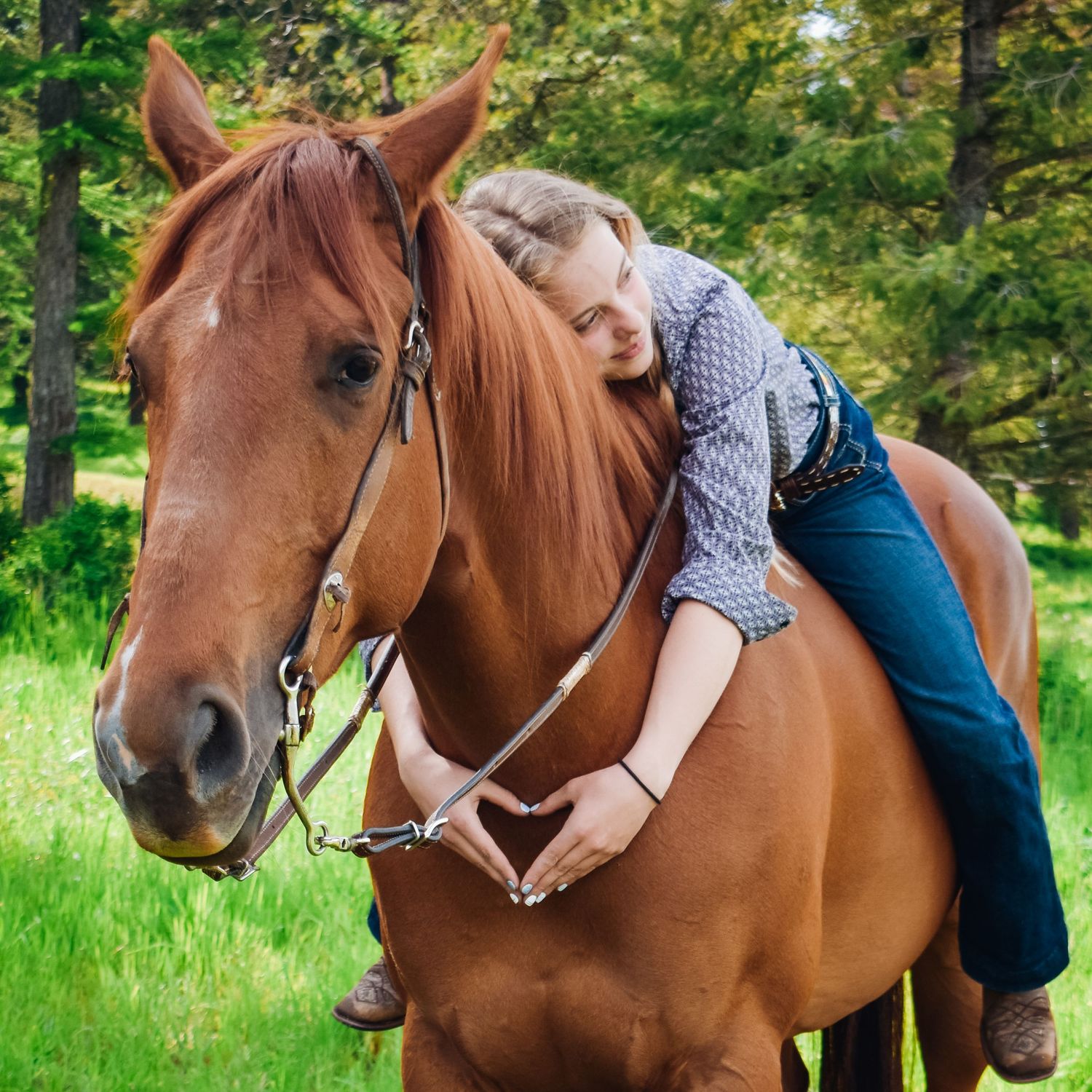 A chestnut horse stands in a green field while someone lays across its back in a playful pose.