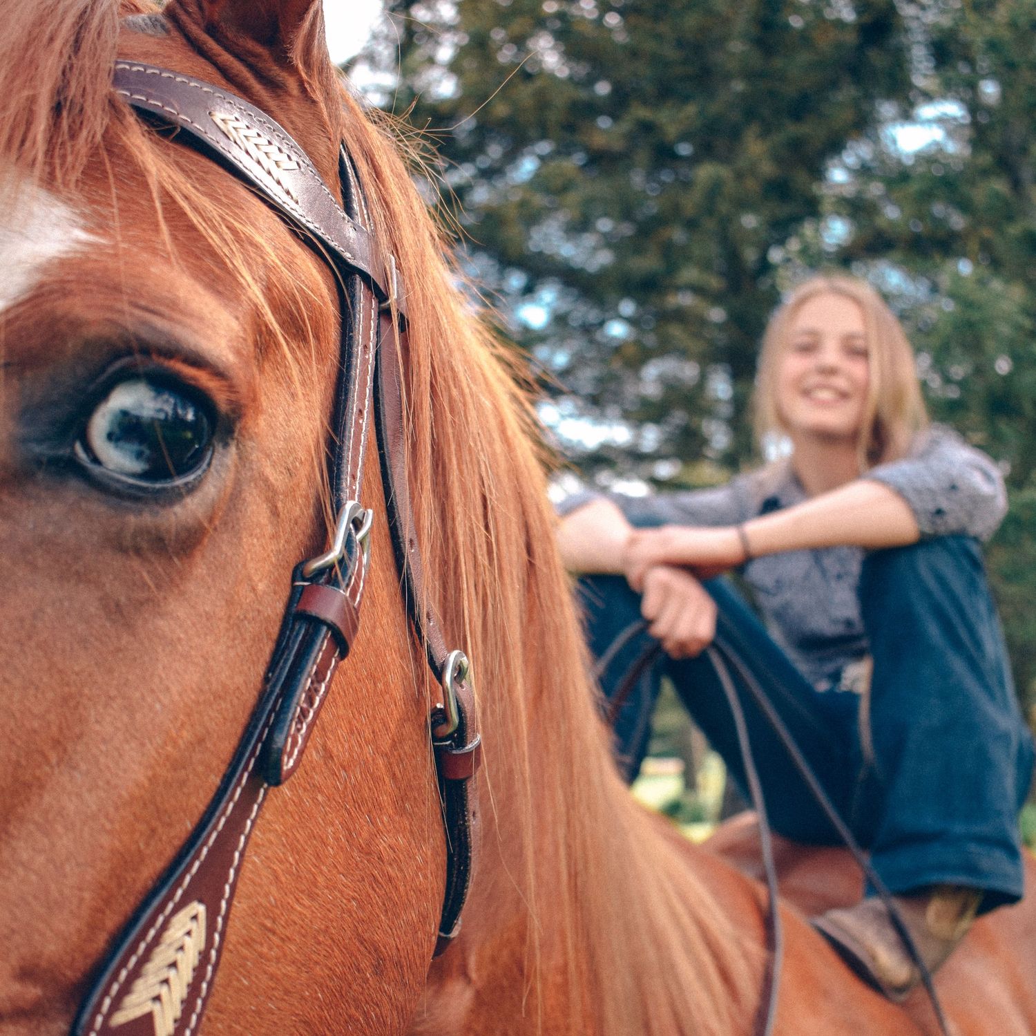 Close-up of brown horse's eye with saddle and outdoor nature background.