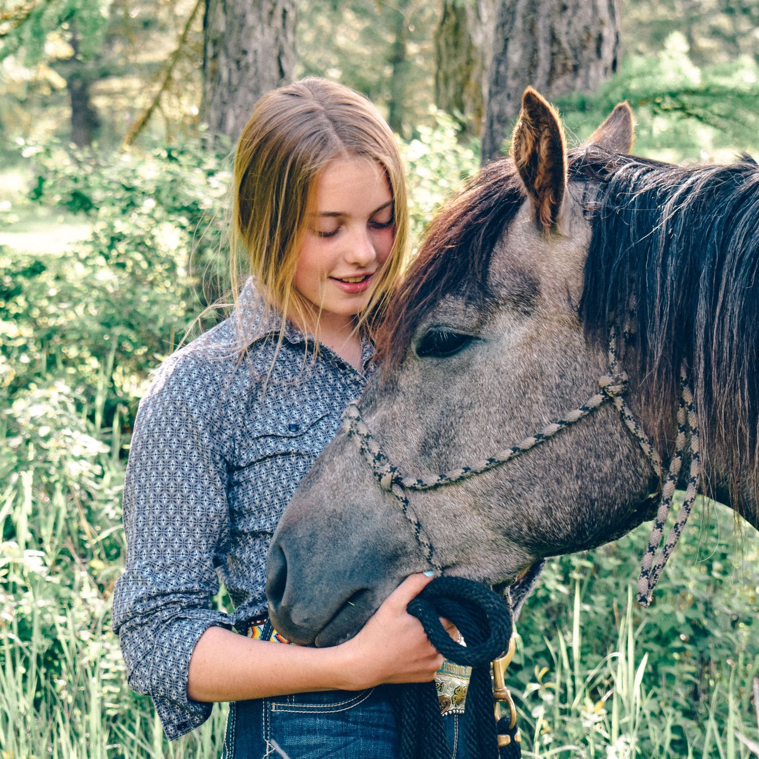 A close-up moment with a dappled gray horse wearing decorative tack in a wooded setting.