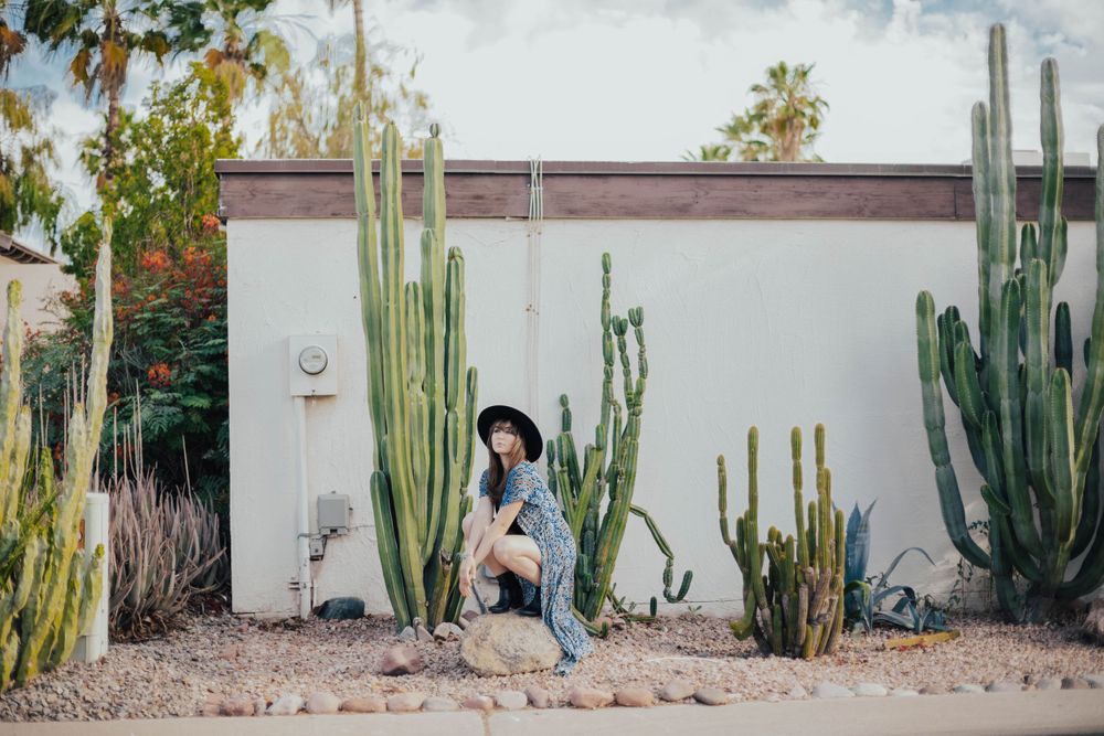 Wide landscape view of desert garden with white walls and tall columnar cacti.