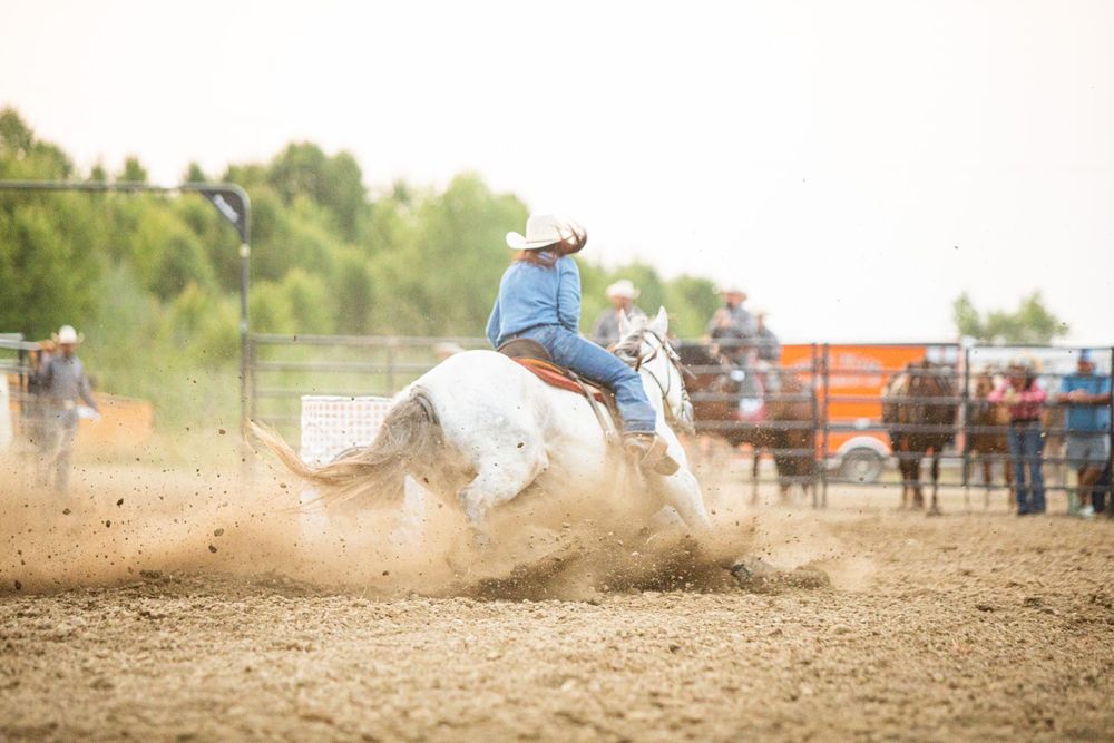 Rodeo action shot with dust flying in golden afternoon light.