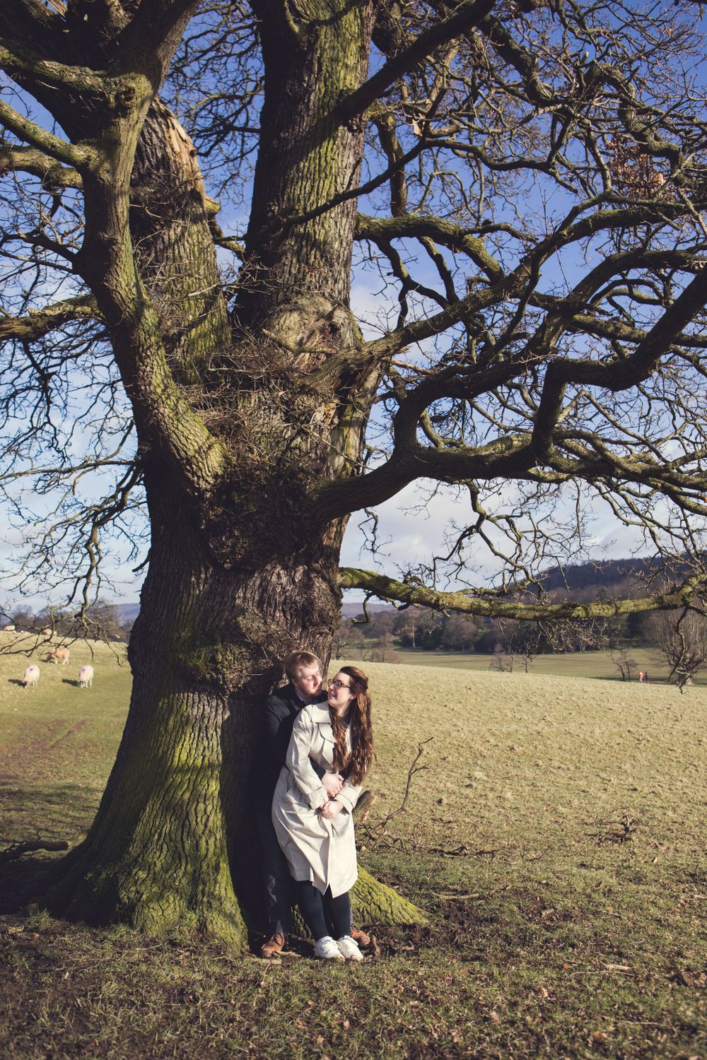 Couples pre-wedding shoot at Chatsworth Estate leaning against tree on a spring day, Derbyshire, UK