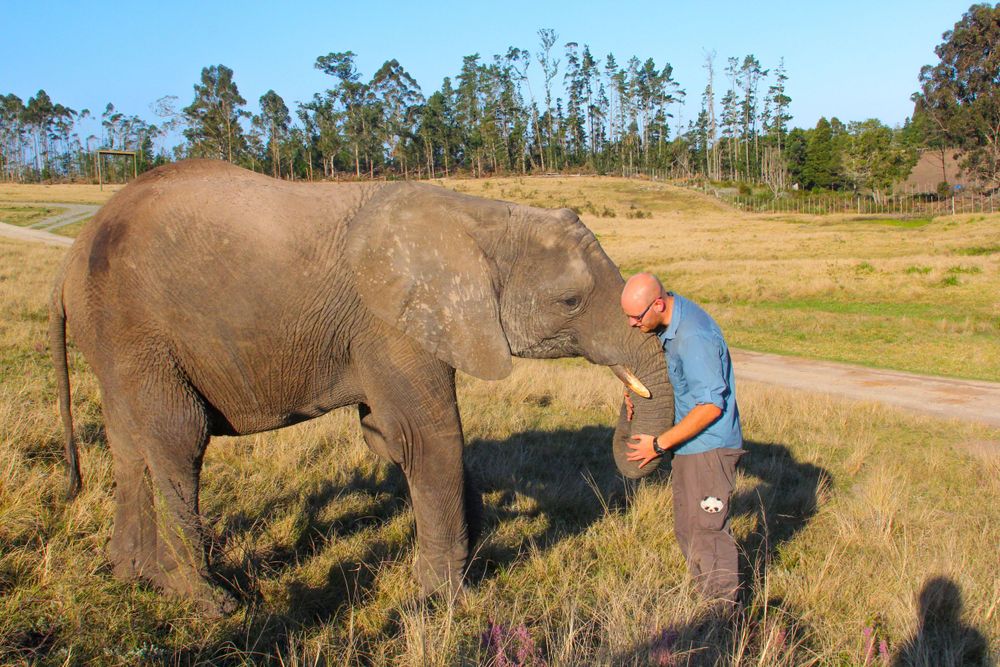 Man hugging an elephant