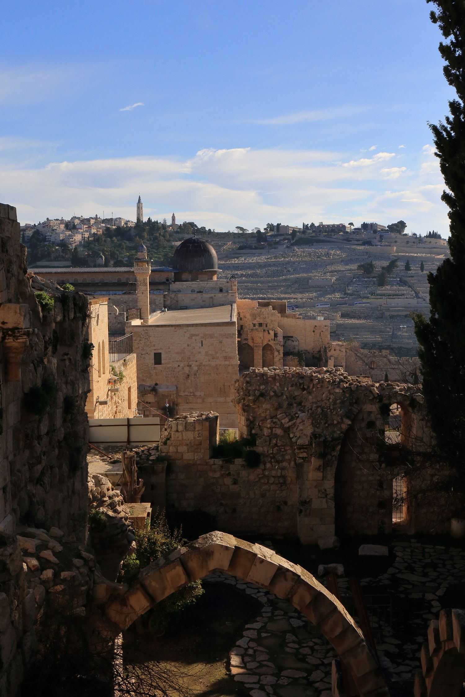 View of Jerusalem's old city architecture with Mount of Olives in background.