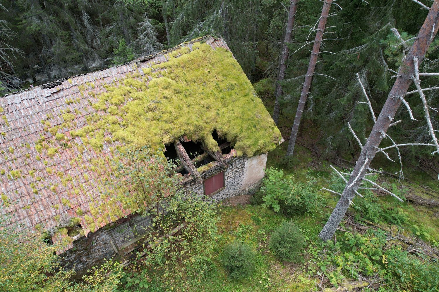 fotograf till företag dalarna