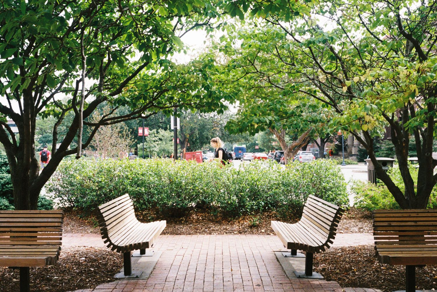 Peaceful park setting with wooden benches along brick pathway under green trees.