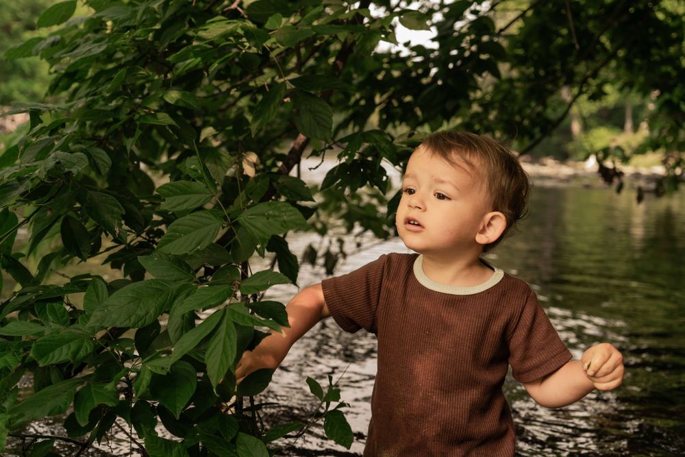 boy looks curiously through leaves at river