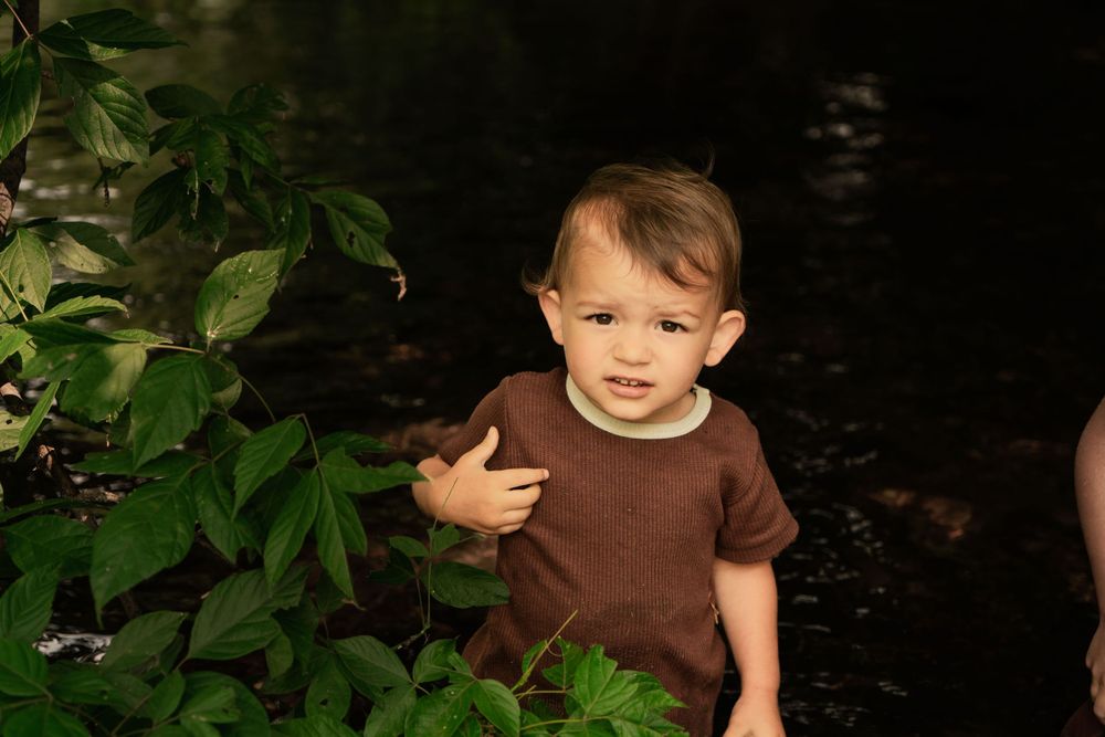 toddler peeks from behind branches over river
