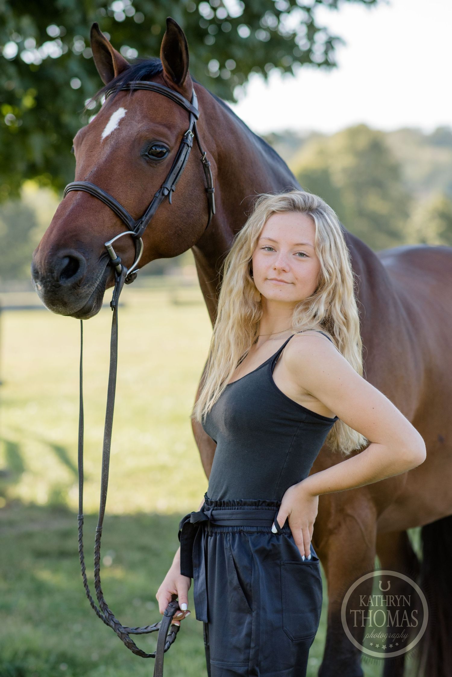 A bay horse and companion stand together on a sunny field with trees in the background.