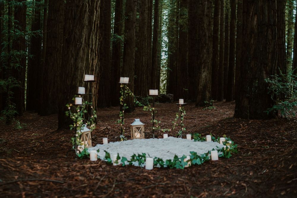 Atmospheric forest setting with candles and decorative elements arranged on the ground.
