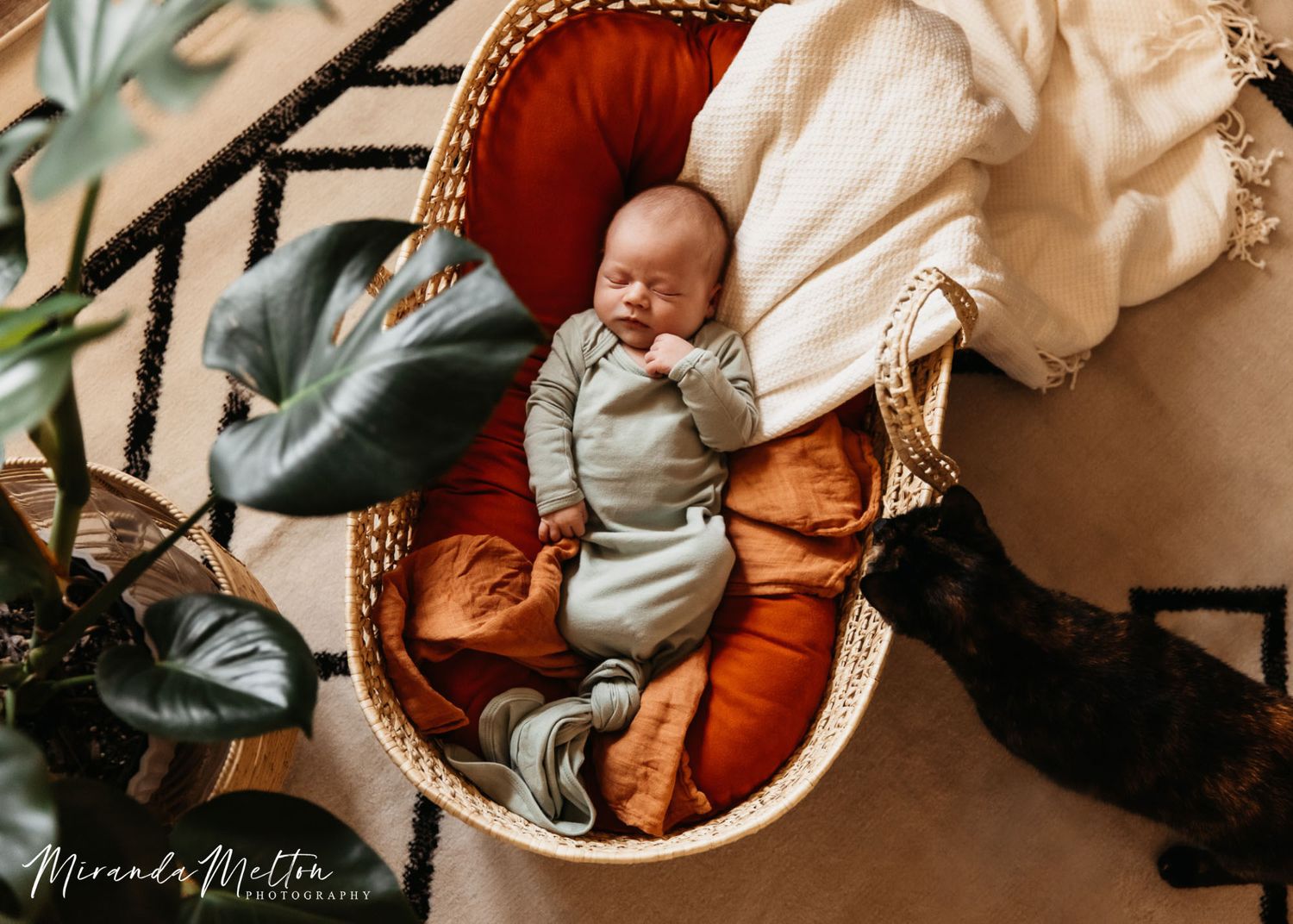 Newborn baby sleeps in a Moses basket. He wears a green gown and lays on orange pillows. A cat comes in from the side