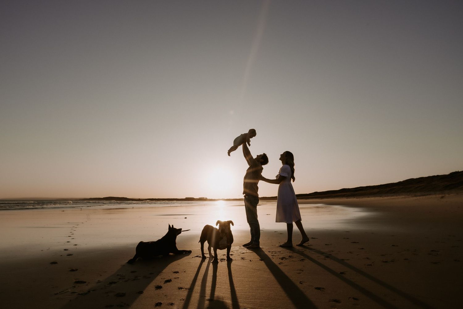 Family silhouettes playing with child on beach at sunset with dogs watching.
