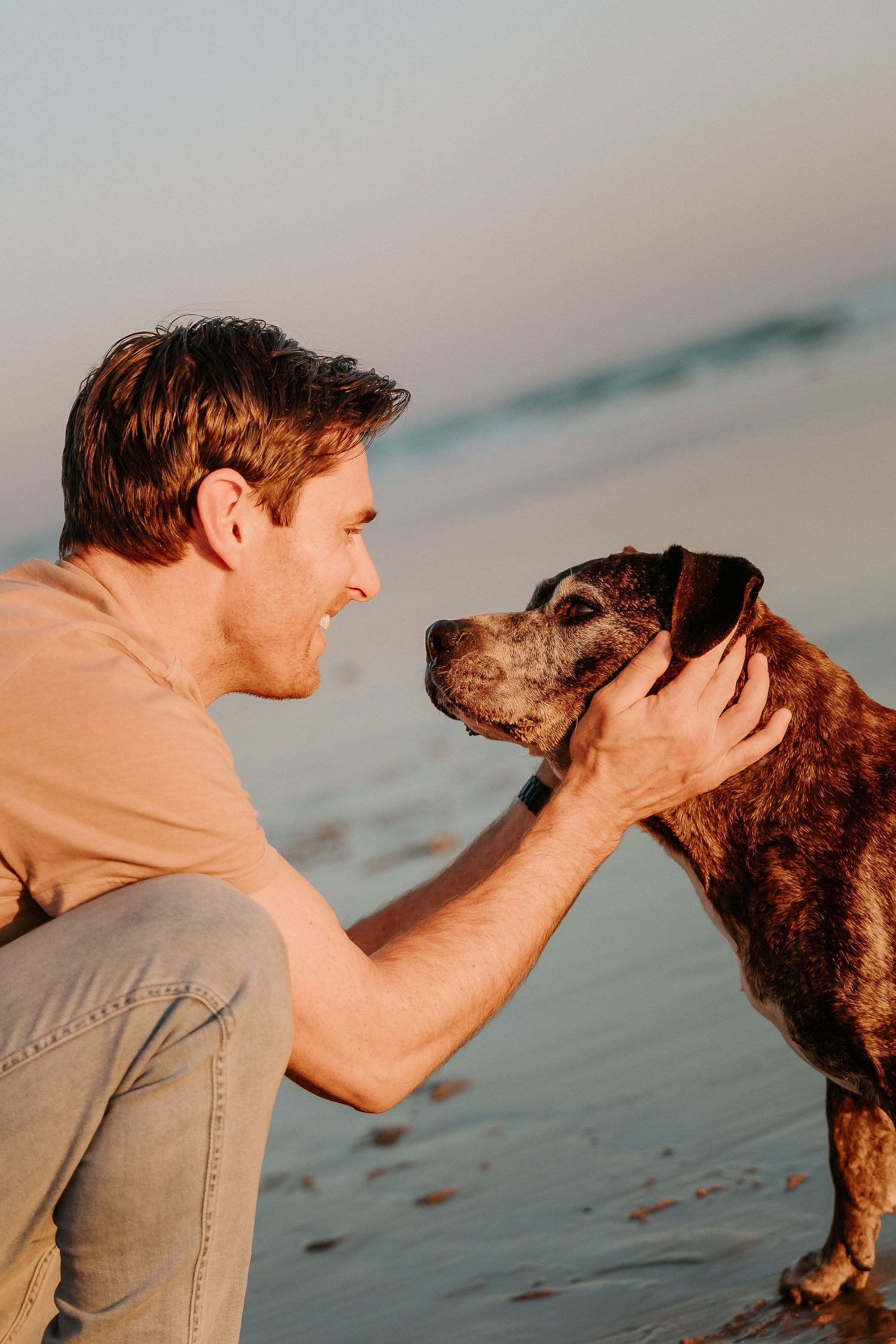 A heartwarming moment between a person and their dog on a beach during golden hour.