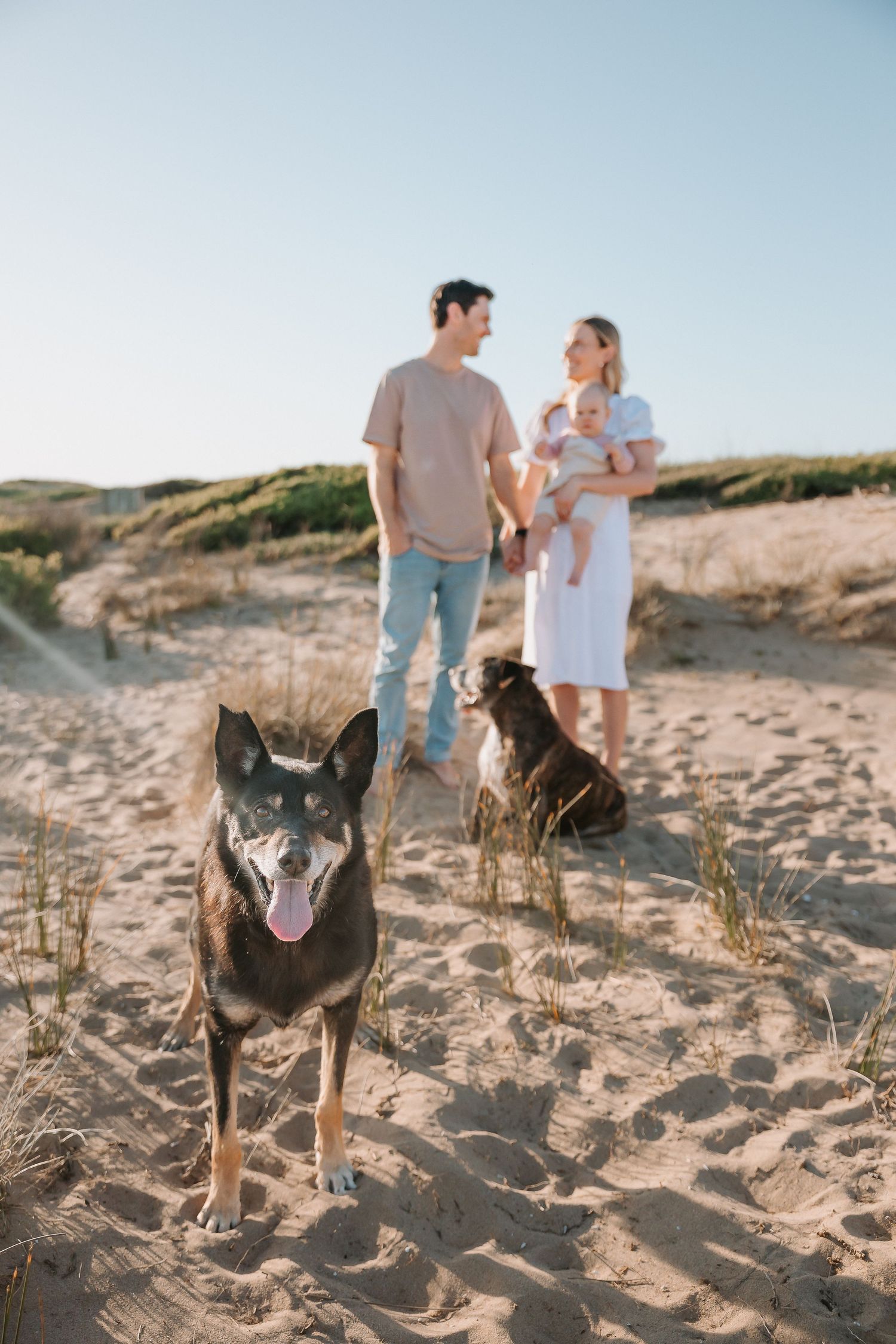 Family with dogs enjoying sunset on sandy beach dunes.