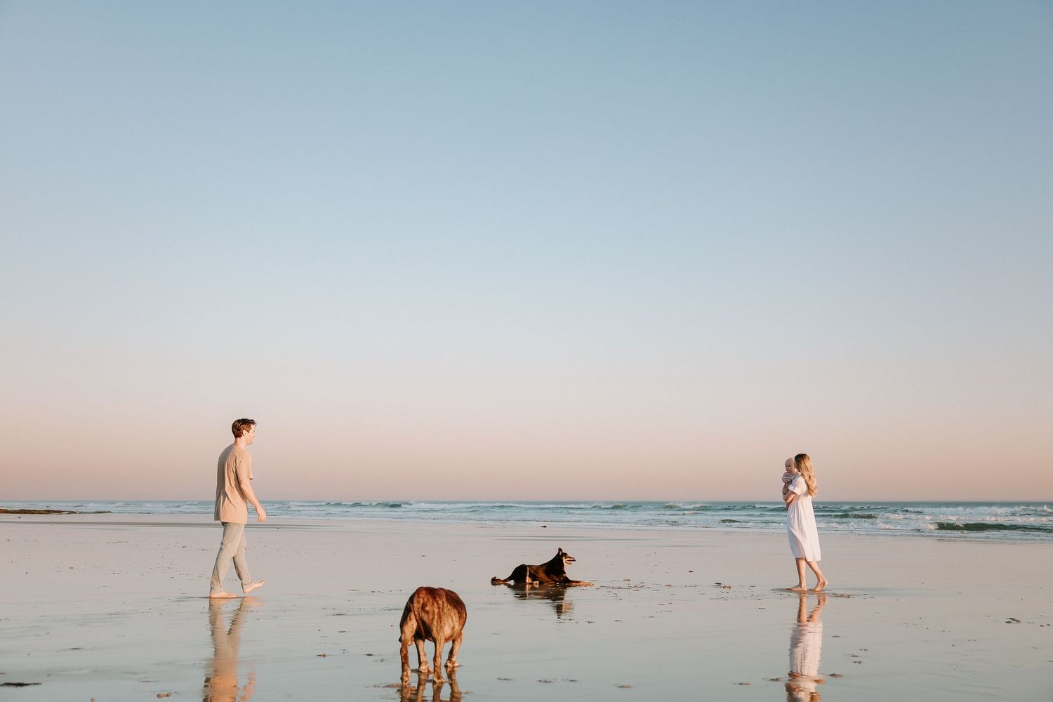 A serene beach scene at sunset with two figures and dogs walking along the shoreline.