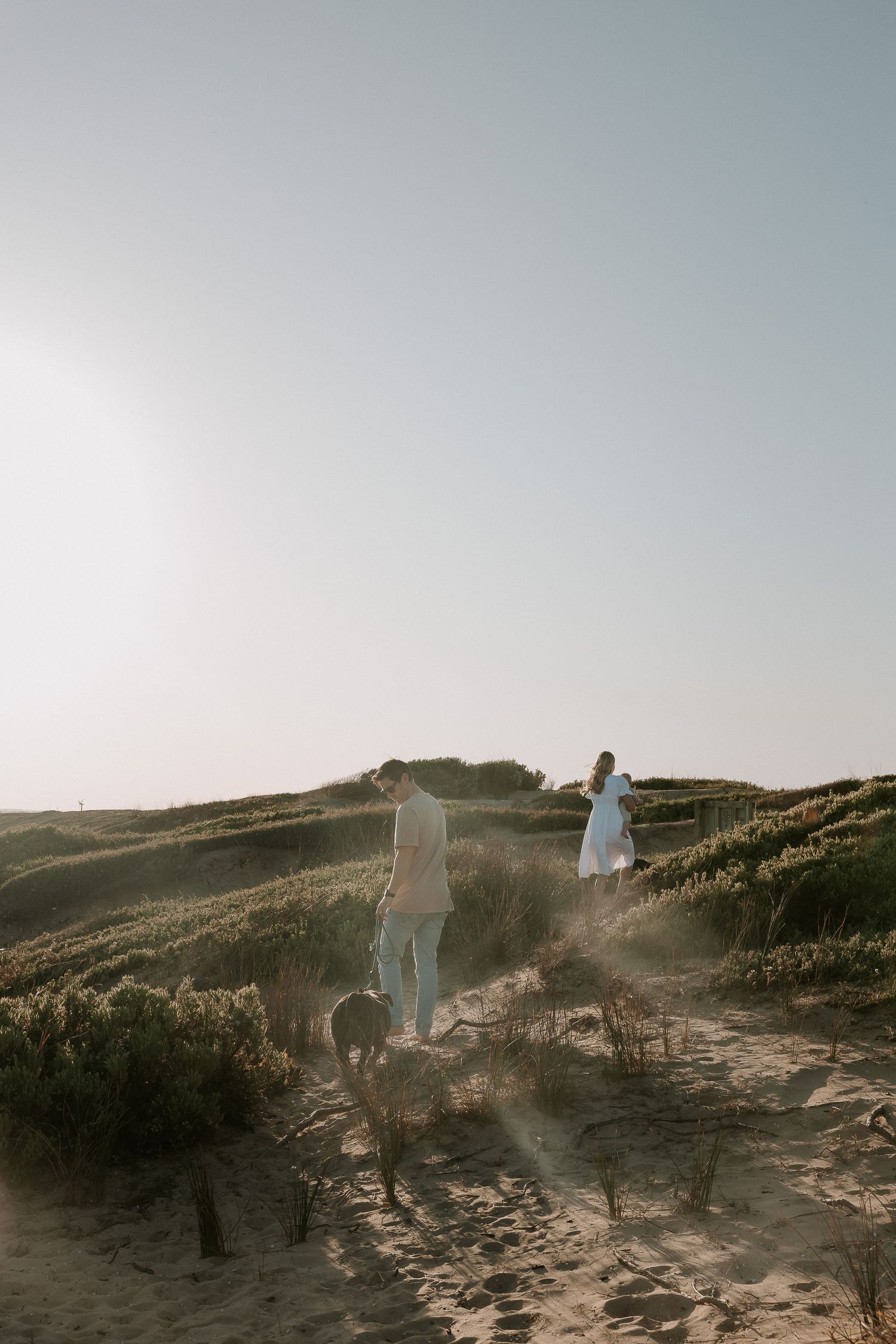 Couple walking dogs along sandy beach path at sunset.