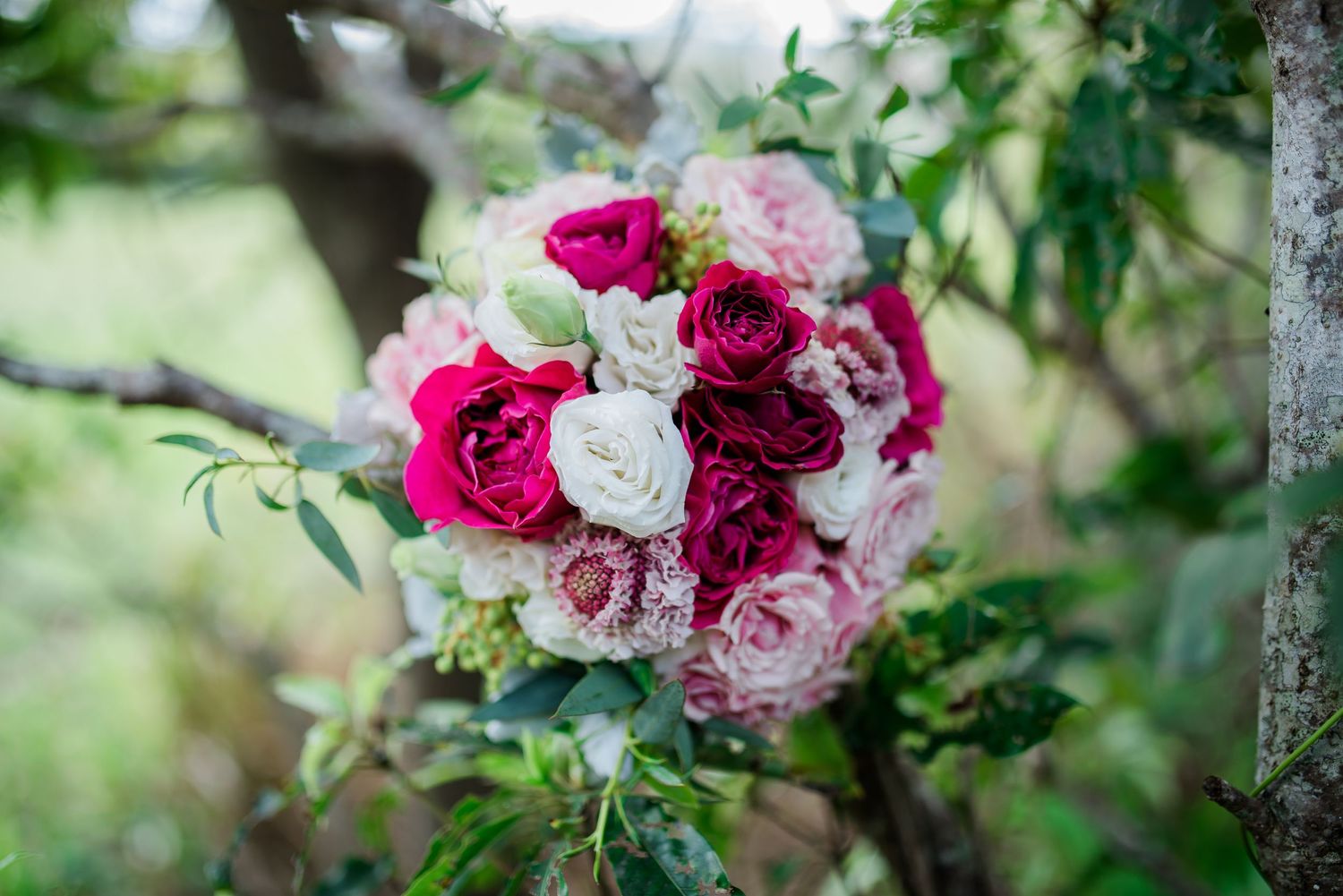 Coffs Harbour Florists