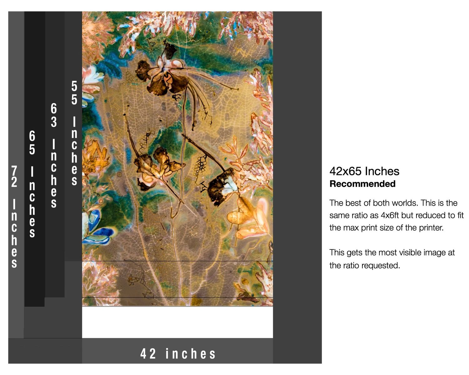 A diagram of the various size ratios that were possible for Logan C Thomas barbados photographer's fine art project