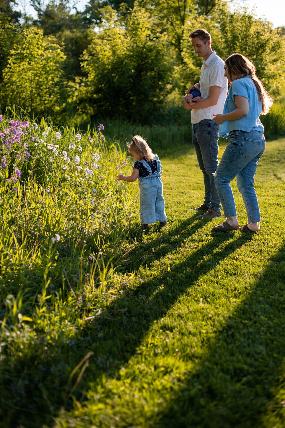 A family explores wildflowers together on a grassy hillside in warm evening light.