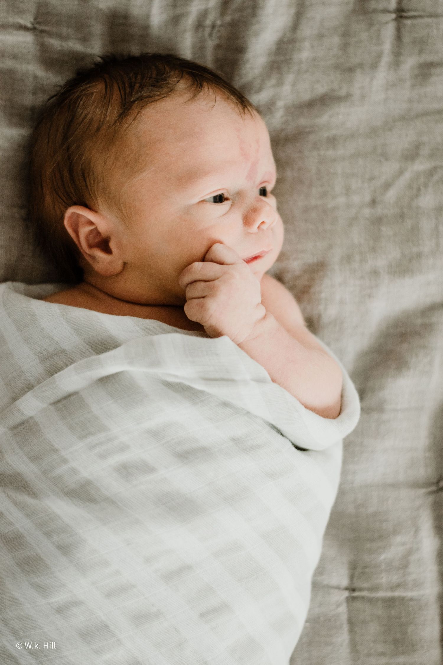 A newborn baby wrapped in white swaddle blanket with hand near face.