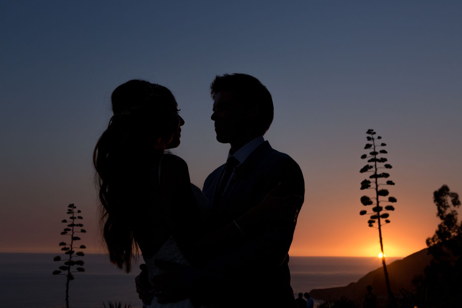 A romantic silhouette of a couple embracing against a dramatic sunset sky with agave plants in the background.