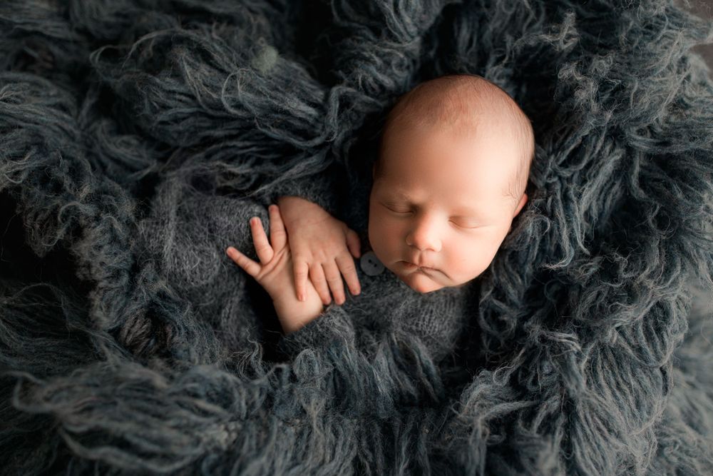 Marion Indiana Newborn Photographer