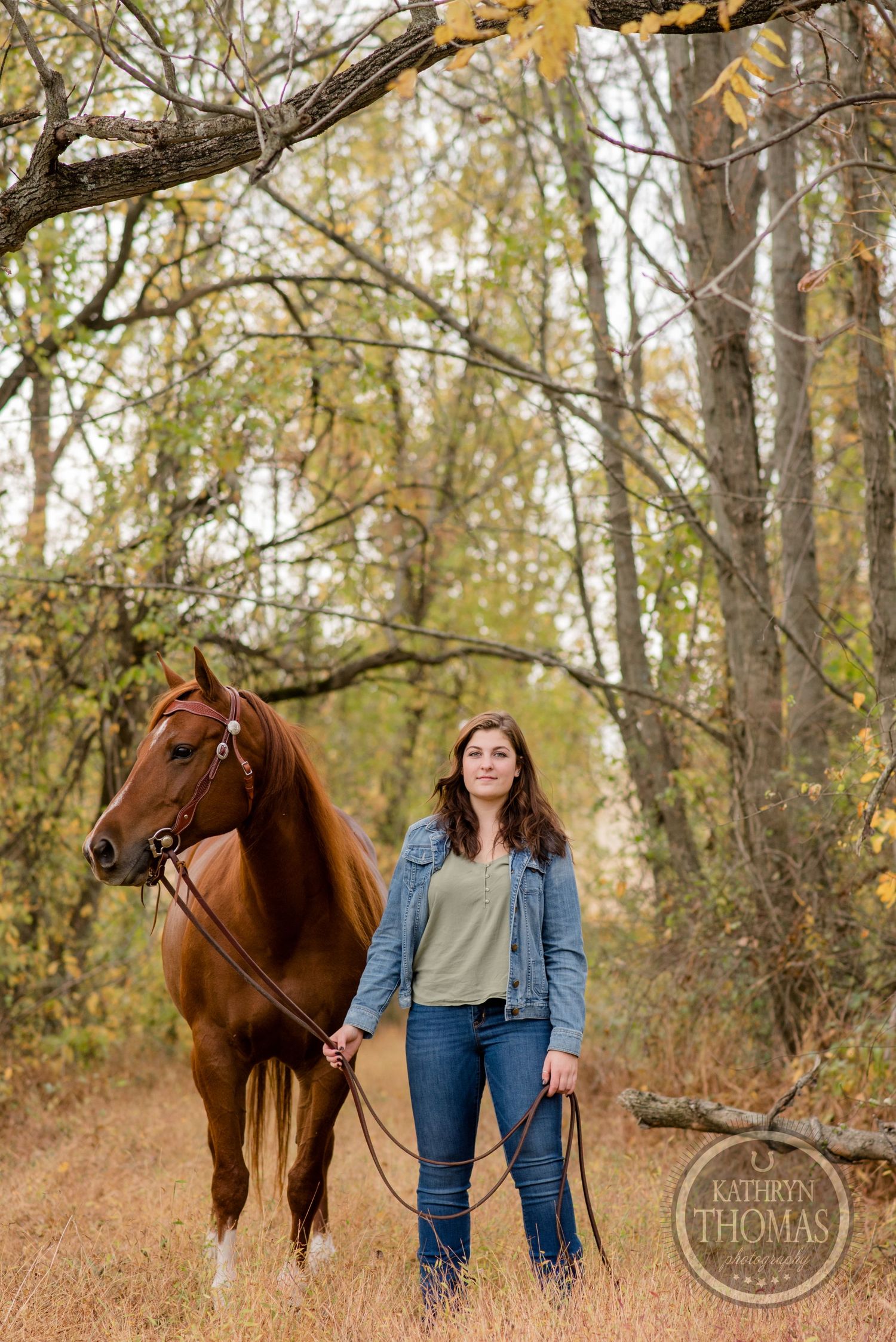 A beautiful chestnut horse stands beside a person in denim jacket against a wooded autumn background.